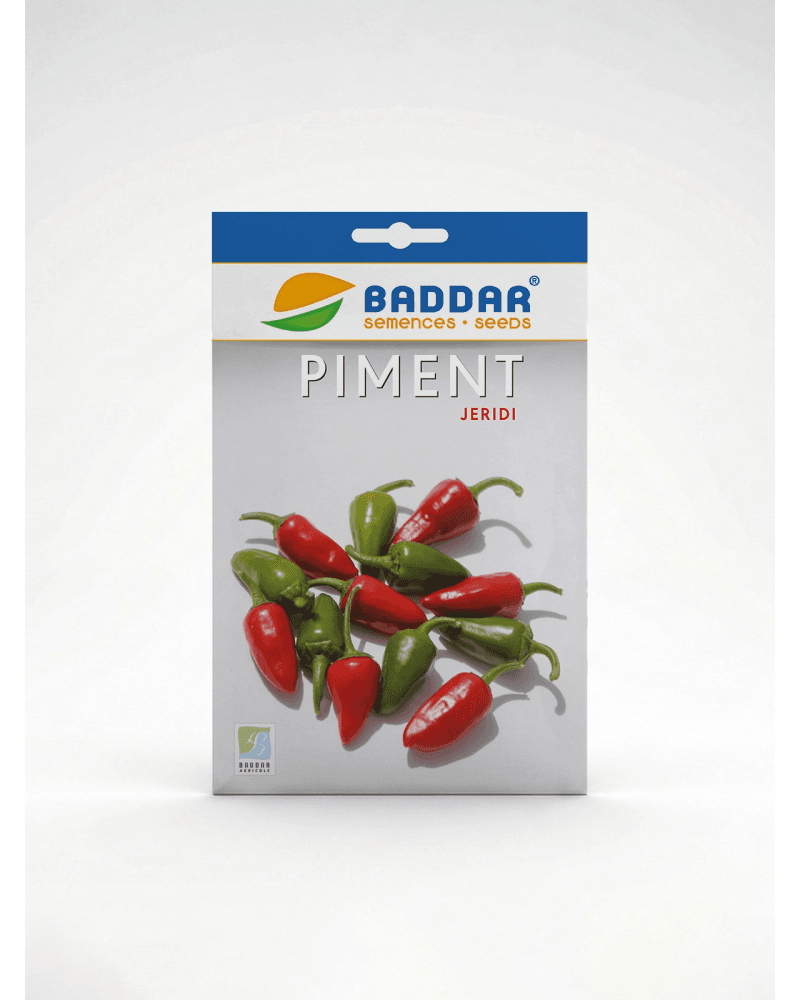 Baddar SEMENCE PIMENT JERIDI BADDAR