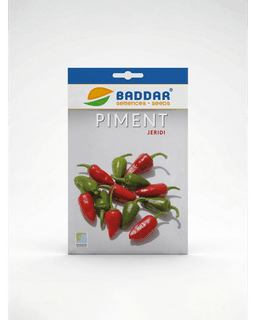 Baddar SEMENCE PIMENT JERIDI BADDAR