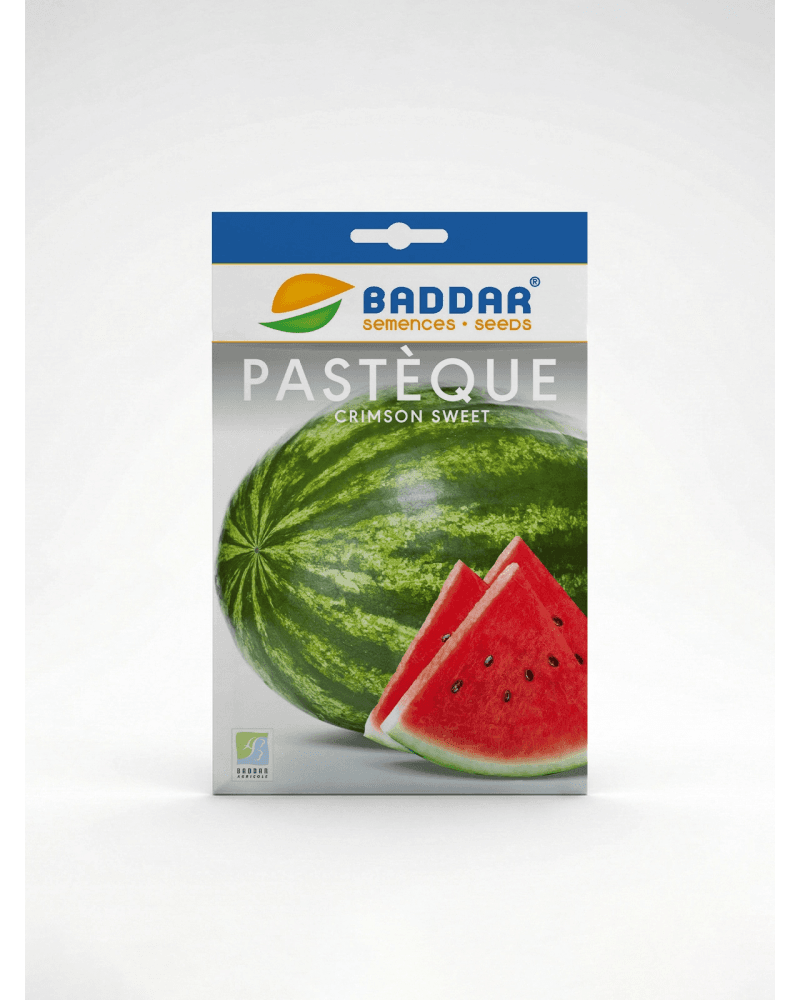 Baddar SEMENCE PASTEQUE SWEET