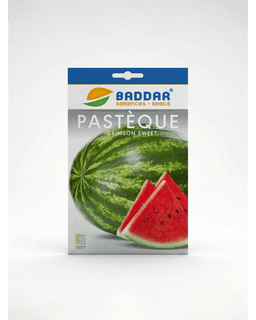 Baddar SEMENCE PASTEQUE SWEET