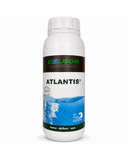 ATLANTIS