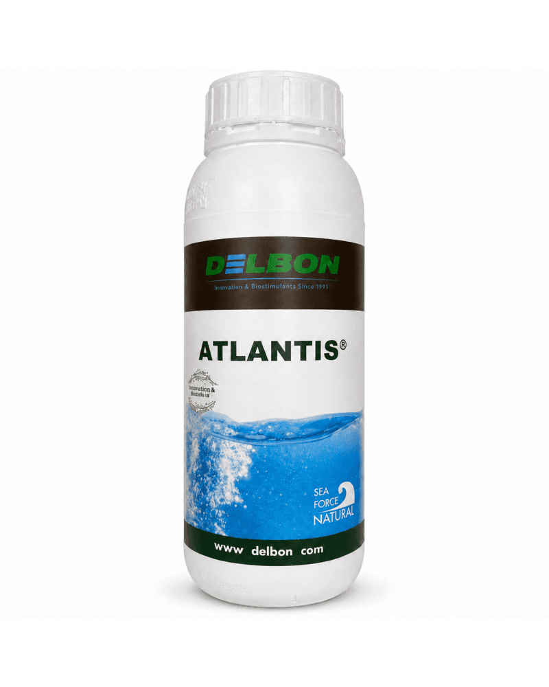 DELBON ATLANTIS