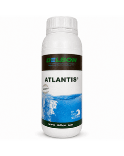 DELBON ATLANTIS