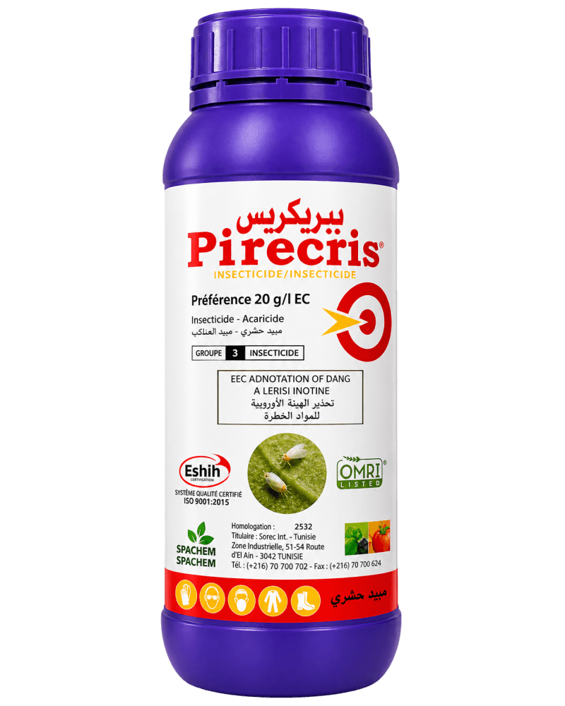 Seipasa PIRECRIS