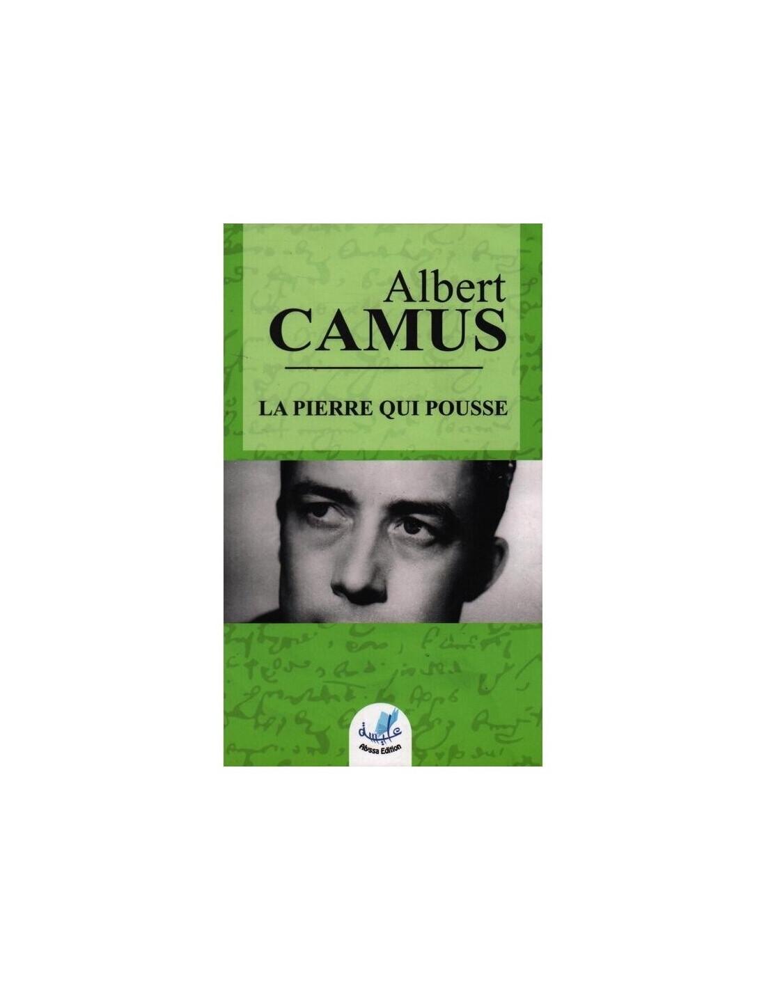 PIERRE QUI POUSSE