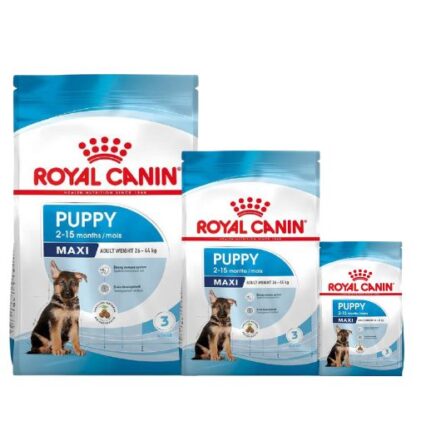 Royal canin Maxi Chiot Croquettes pour Chiot de Grande Race