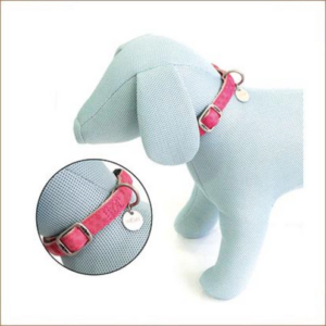 Collier Chien Mylord 20mm