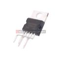 Amplificateur Audio D'autoradio 10 W