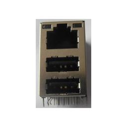 Connecteur RJ45 + USB Coudé, PR-120004NL1108