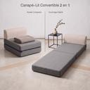Canapé-Lit Pliable Convertible 2 en 1