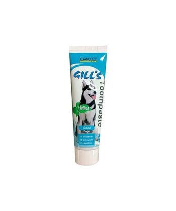 GILL'S TOOTH PASTE 100Gr