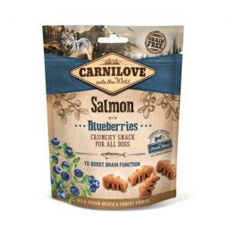 CARNILOVE DOG SNACK SAUMON 200 GR