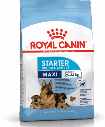 ROYAL CANIN CHIEN MAXI STARTER 4 KG