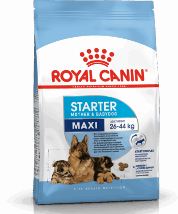 ROYAL CANIN CHIEN MAX STARTER 15 KG