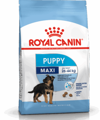 ROYAL CANIN CHIEN MAXI PUPPY 15 KG