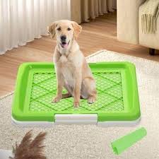 POTTY DOG HOBBY SMALL