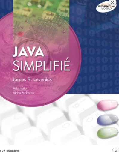 JAVA SIMPLIFIE