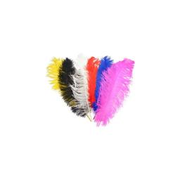 PLUMES DIFFERENT COULEURS