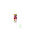 XEN Clean LP shampooing anti-poux lentes