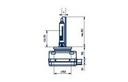 Ampoule, Xenon