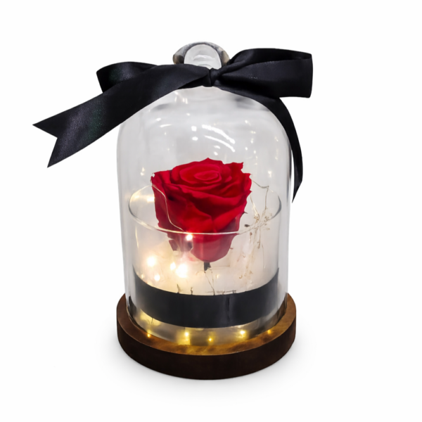 Rose Eternelle Lumineuse