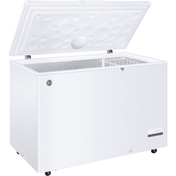 Hover HOCH301EE Inverter