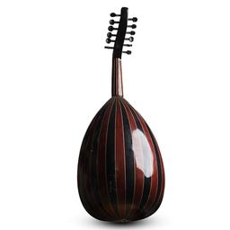 OUD ACOUSTIQUE-AN4