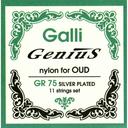 GALLI STRINGS GR75, JEU DE CORDES POUR OUD