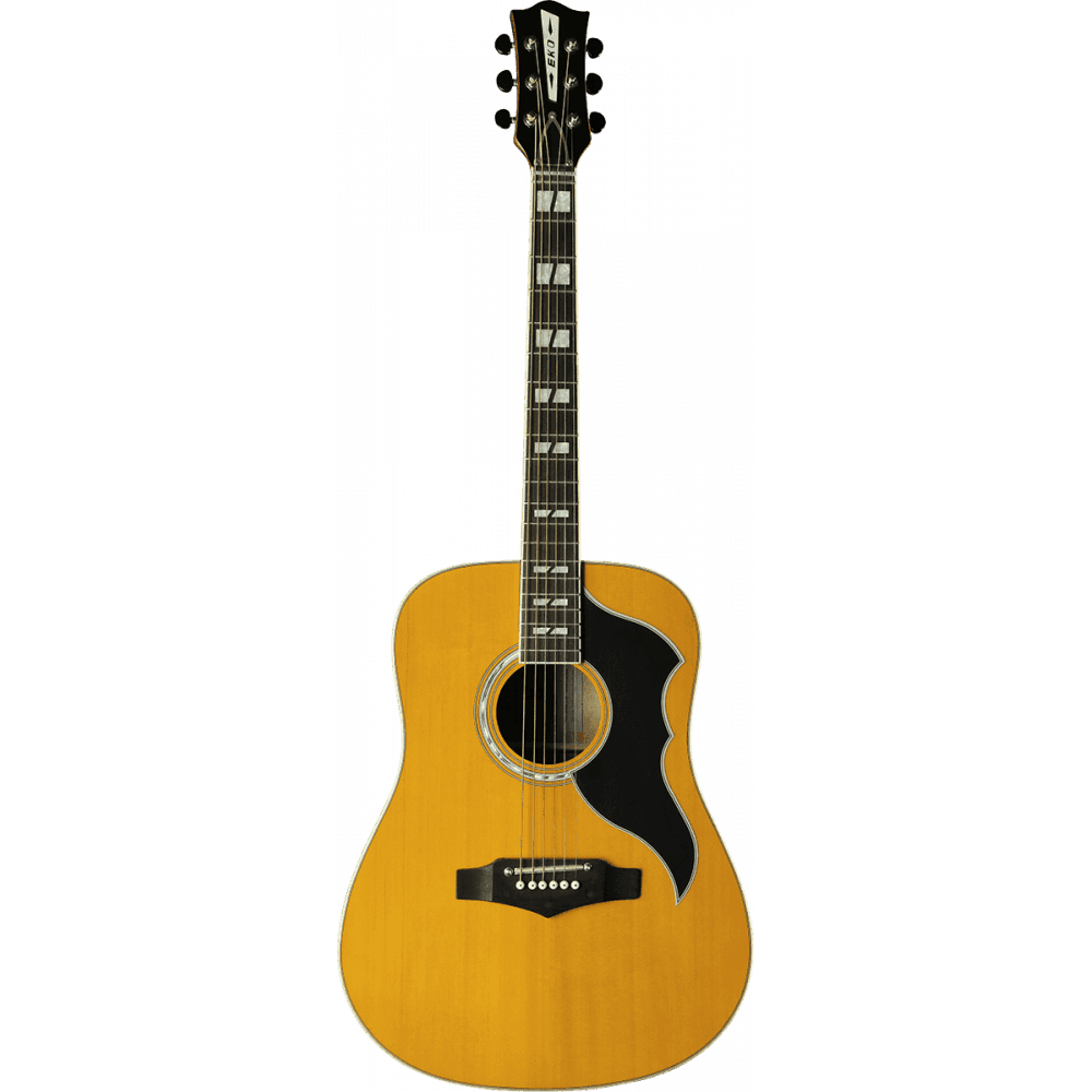 RANGER VR NATURAL, GUITARE ÉLECTRO ACOUSTIQUE