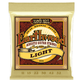 ERNIE BALL CEB