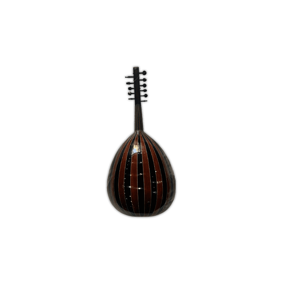 OUD ACOUSTIQUE-AN2