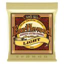 ERNIE BALL CEB