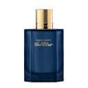 Davidoff COOL ELIXIR INTENSE