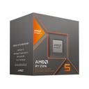 AMD Processeur Ryzen 5 8600G Box