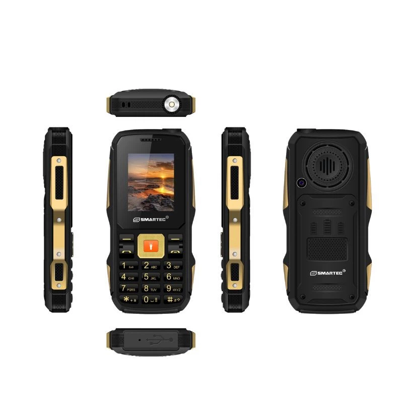 Portable SMARTEC POWER X1