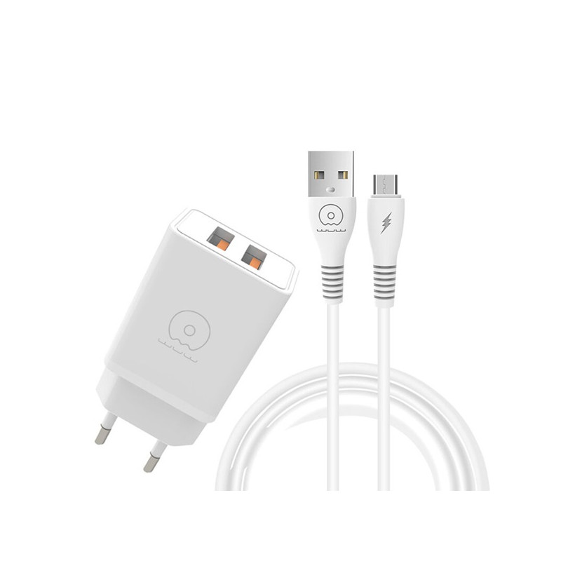CHARGEUR WUW T55 MICRO USB "DEUX SORTIE USB"
