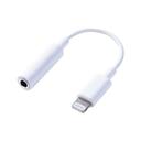Adaptateur LIGHTNING