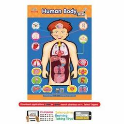 Cm-Les Tapis Organes du corps humain-Anime par Smartphone-24 PCS