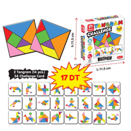 Tangram Challenge Montessori 38 Pcs