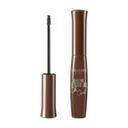 BROW FIBER OH OUI !