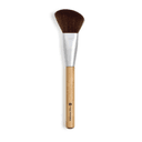 Teint Pinceau Blush