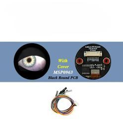 circulaire e 0.96" 240x198 MSP0963 ST7789 pour Raspberry, STM32