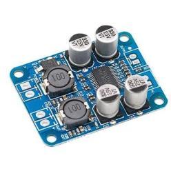 Amplificateur TPA3118 de puissance Audio 60W Mono