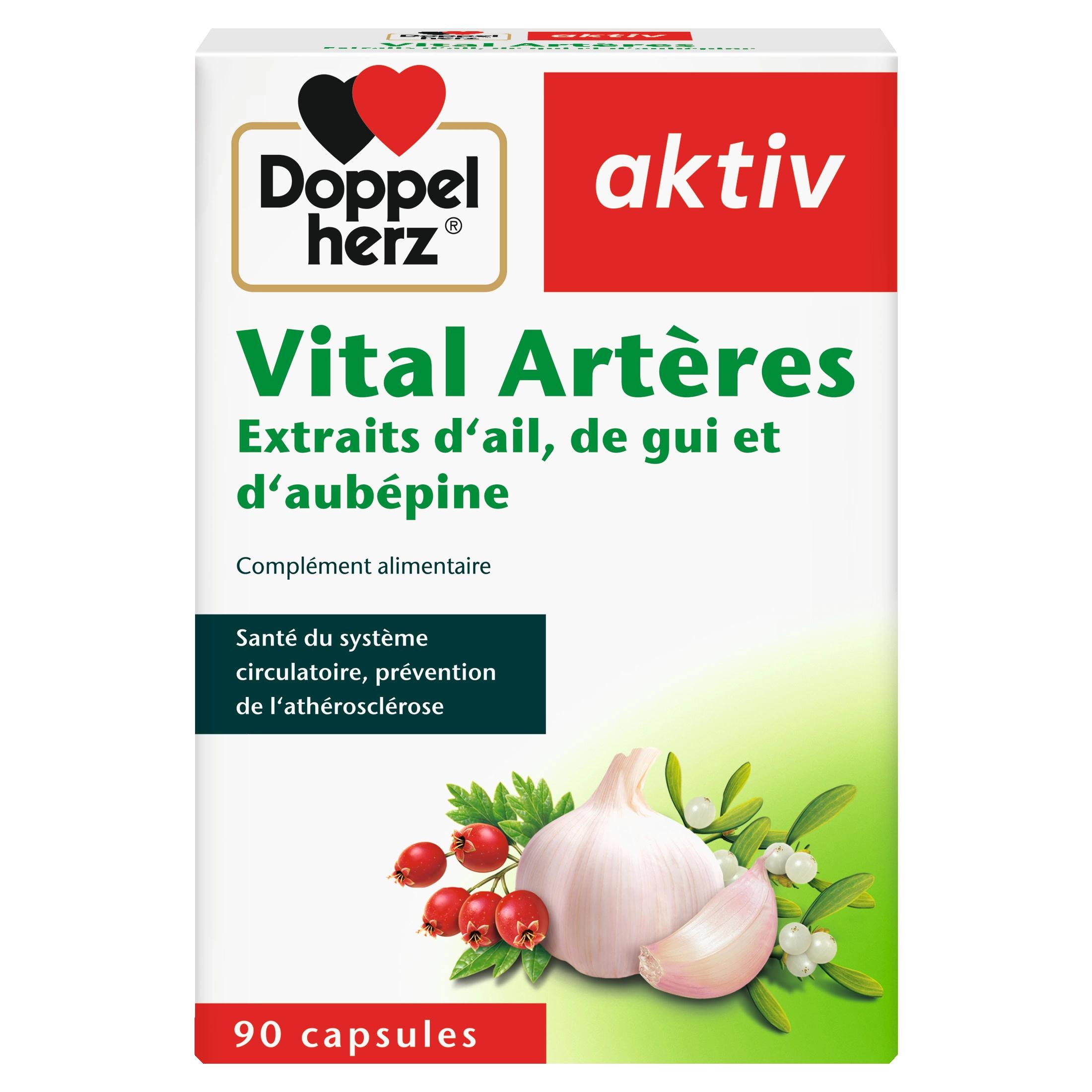 AKTIV LABORATOIRE LABORATOIRE VITAL ARTERES BT 90