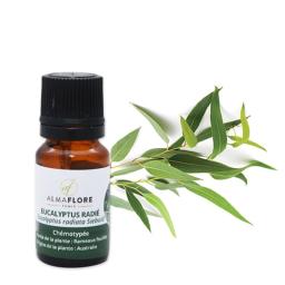 ALMAFLORE Huile Essentielle d'Eucalyptus Globuleux