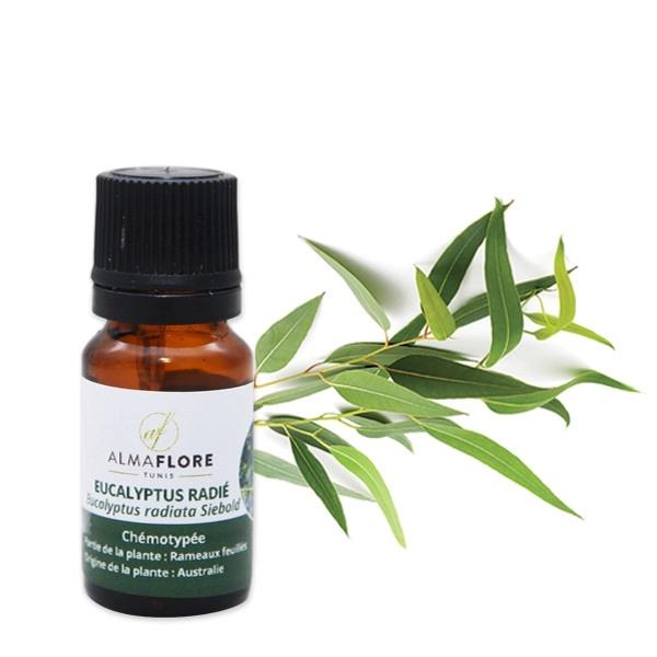 ALMAFLORE Huile Essentielle d'Eucalyptus Globuleux