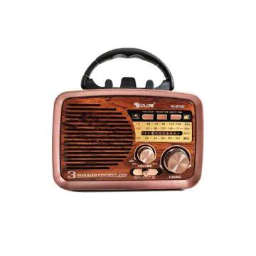 Radio FM Bluetooth GOLON RX-BT032