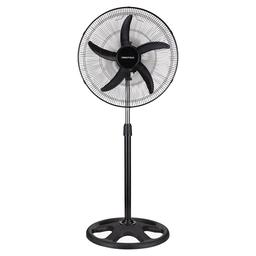 PRESTIGIA Pied20" W-FF2073
