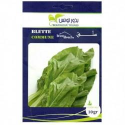Graines semis Blette Commune سلق