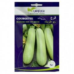 Graines semis Courgette Blanche non